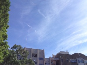 もうすぐ梅雨開け